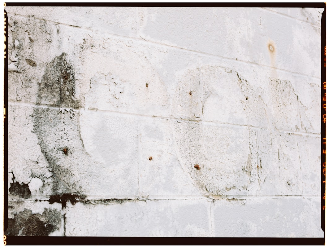 Sewage Cleanup service in Newark, CA