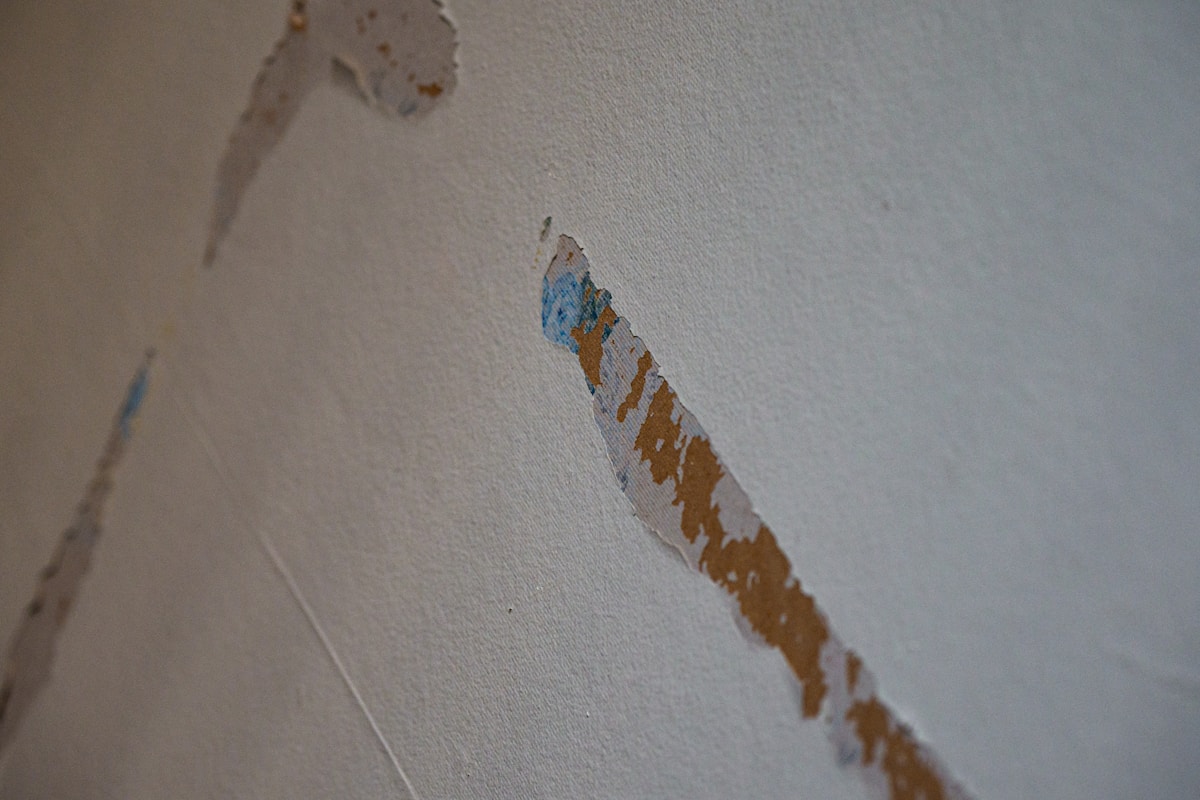 Storm Damage Repair service in Newark, CA